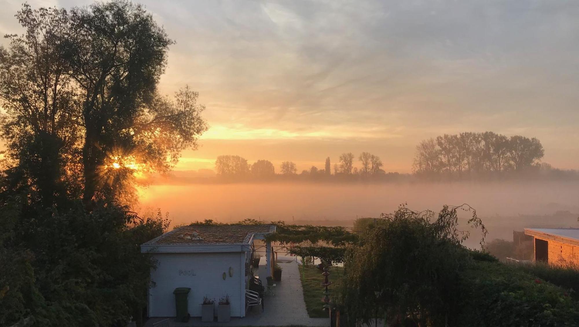 Bed and Breakfast Chillann Denderleeuw Экстерьер фото